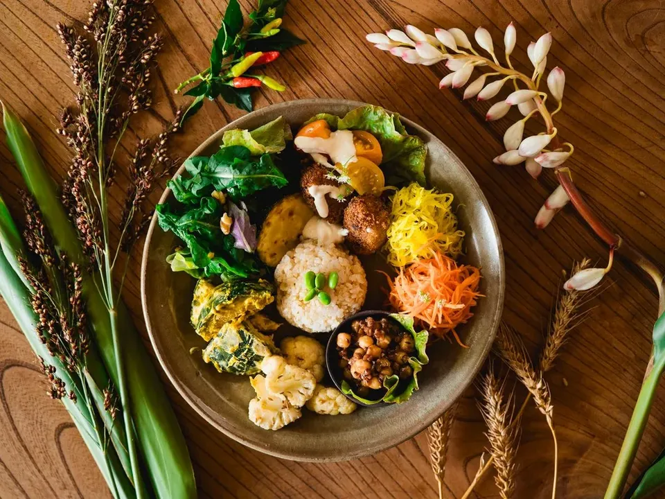 石垣島一日團推薦,【竹富島深度文化遊】跟著在地嚮導漫步傳統聚落&品嚐特色「命草」純素料理