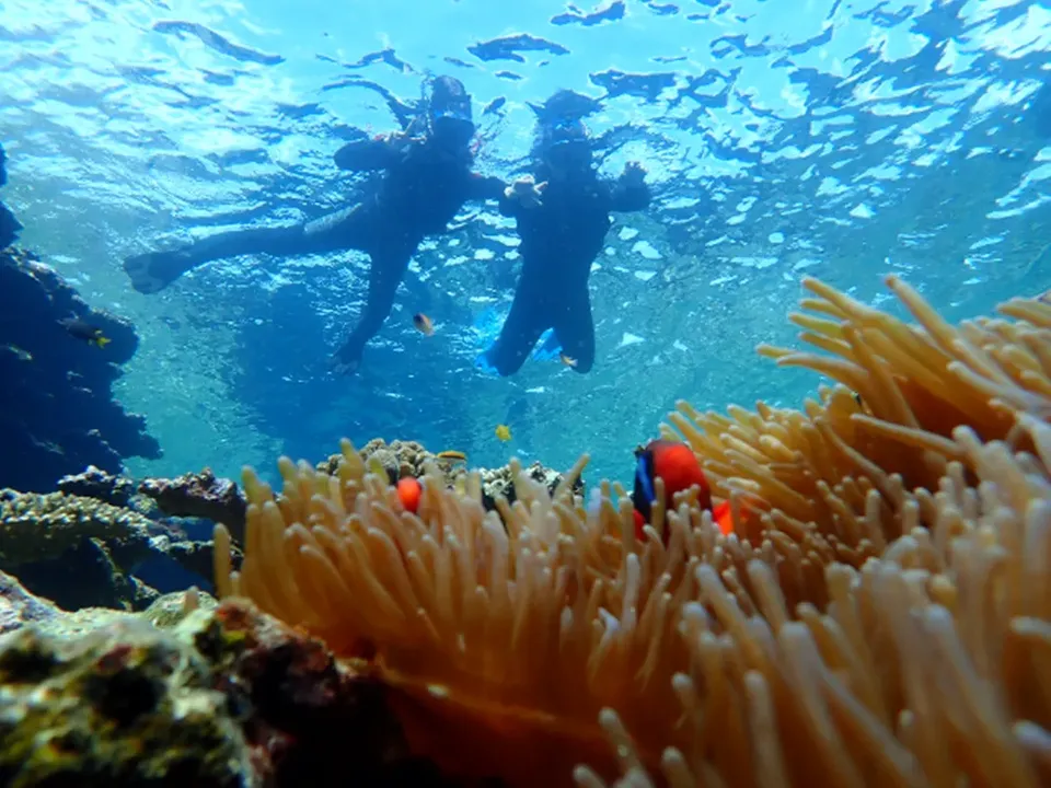 石垣島一日遊推薦,【石垣島一日遊】幻影島登陸、川平灣獨木舟 & 珊瑚礁浮潛
