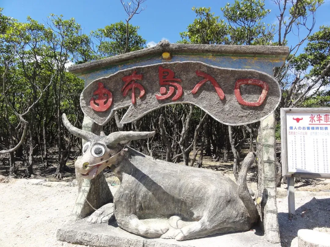 【石垣島出發】西表島・由布島悠閒半日遊|紅樹林遊船&水牛車體驗 (含午餐)-6