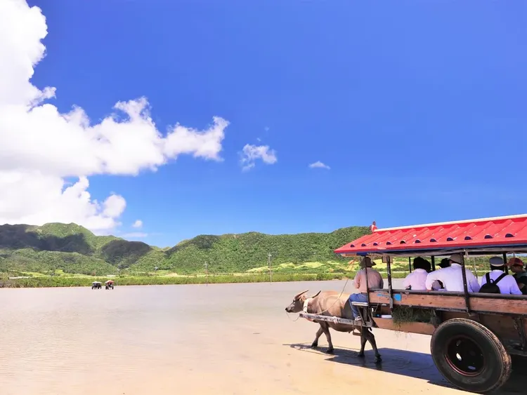 行程簡介-overview