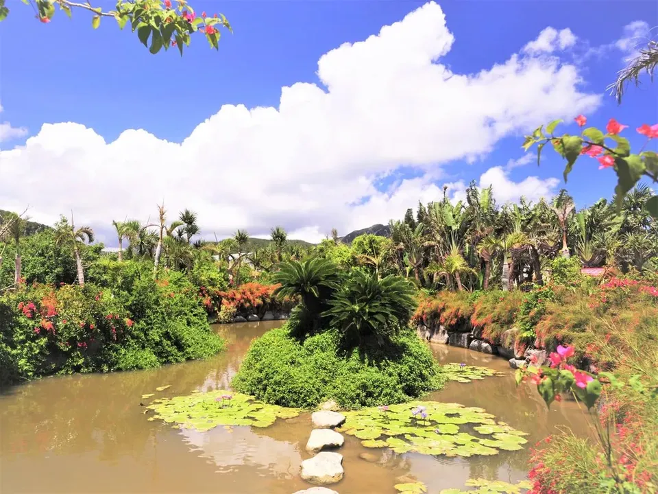 石垣島出發一日團推薦,【石垣島出發】西表島・由布島悠閒半日遊|紅樹林遊船&水牛車體驗 (含午餐)