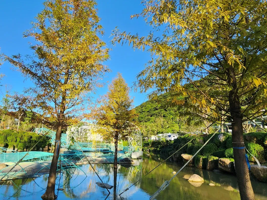 生態步道池