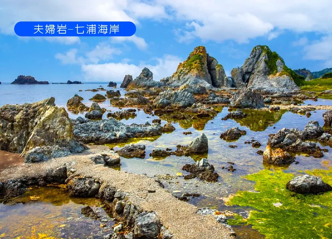 愛上新潟佐渡島5日.神隱少女木盆舟體驗.秘境清津峽.長岡煙火館.彌彥神社.天空之城.雙溫泉-7