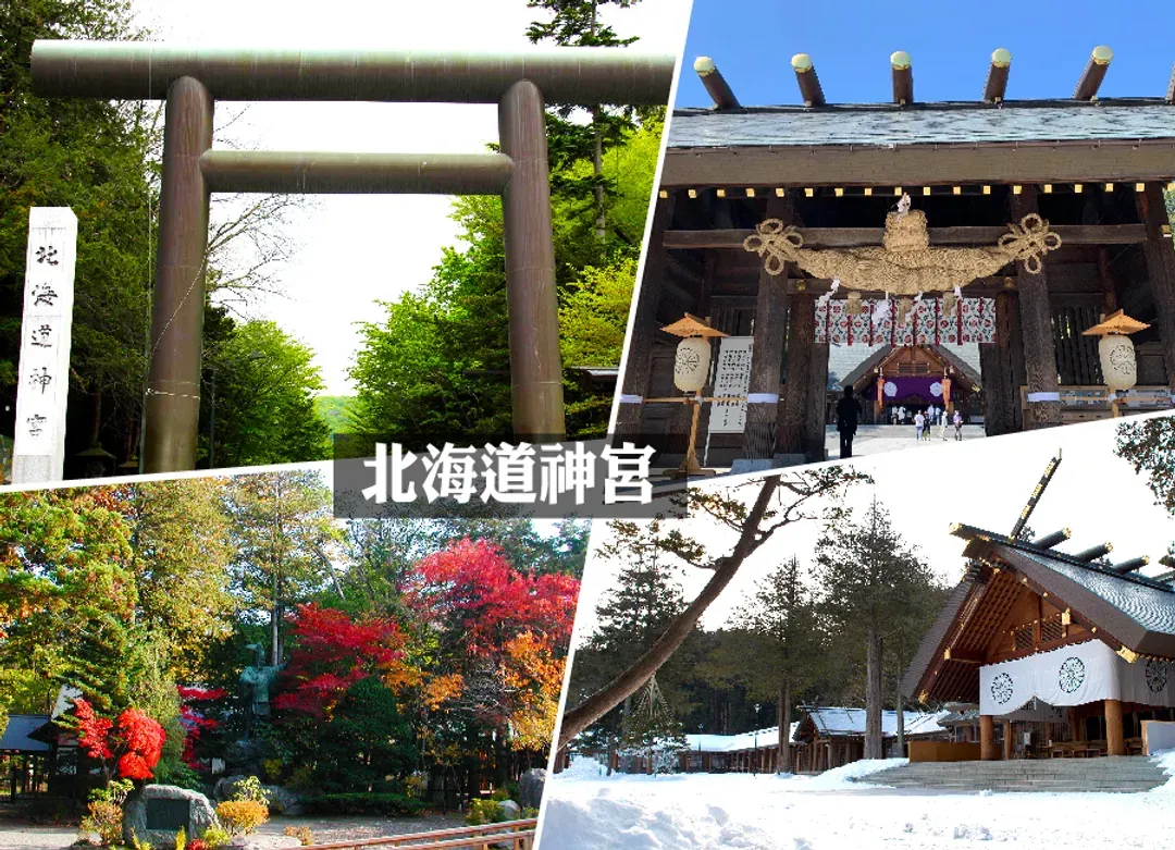 高雄出發星野函館OMO5北海道雙溫泉5日.尼克斯企鵝遊行.萌熊牧場.函館百萬夜景.浪漫小樽.螃蟹燒肉吃到飽-12