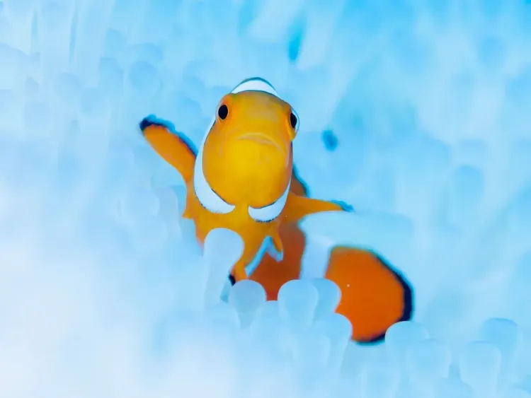 行程簡介-overview