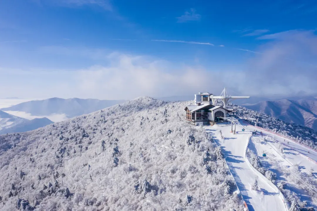 【首爾/仁川機場 - 龍平度假村】滑雪季接駁巴士｜營運至2026/2/28 (春節將暫停受理預訂)-5