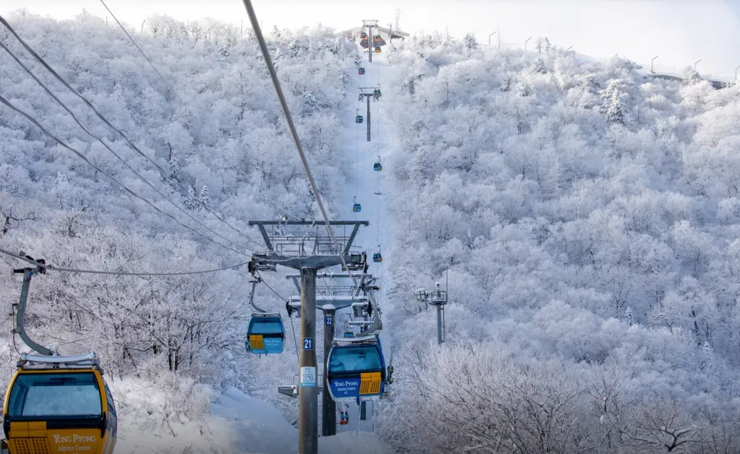 【首爾/仁川機場 - 龍平度假村】滑雪季接駁巴士｜營運至2026/2/28 (春節將暫停受理預訂)-6