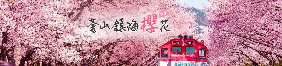 賞櫻