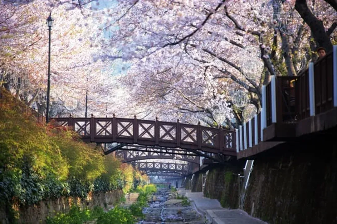 余佐川
