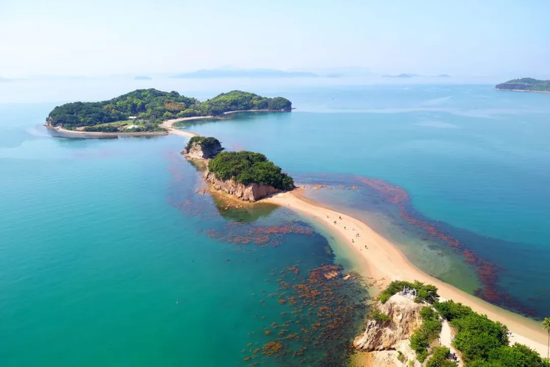 松山四國～魔女小豆島、來島海峽觀潮船、名園名景漫遊、溫泉美食美饌七日-10