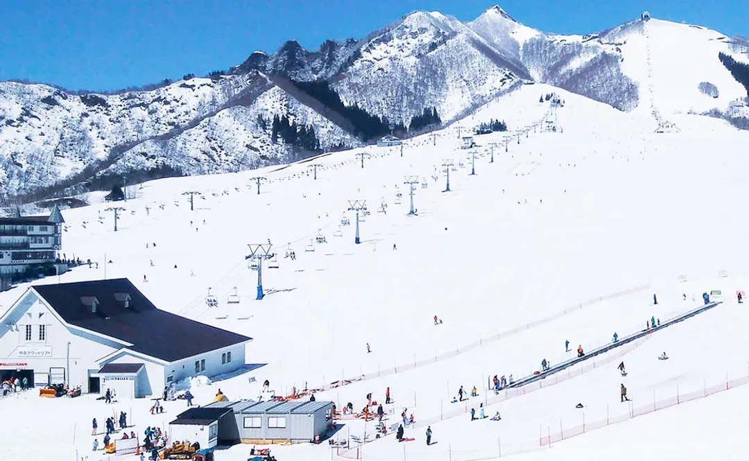 【比現場購票享優惠】岩原滑雪場 纜車1日票＆雪具租借（新潟縣越後湯澤）-7