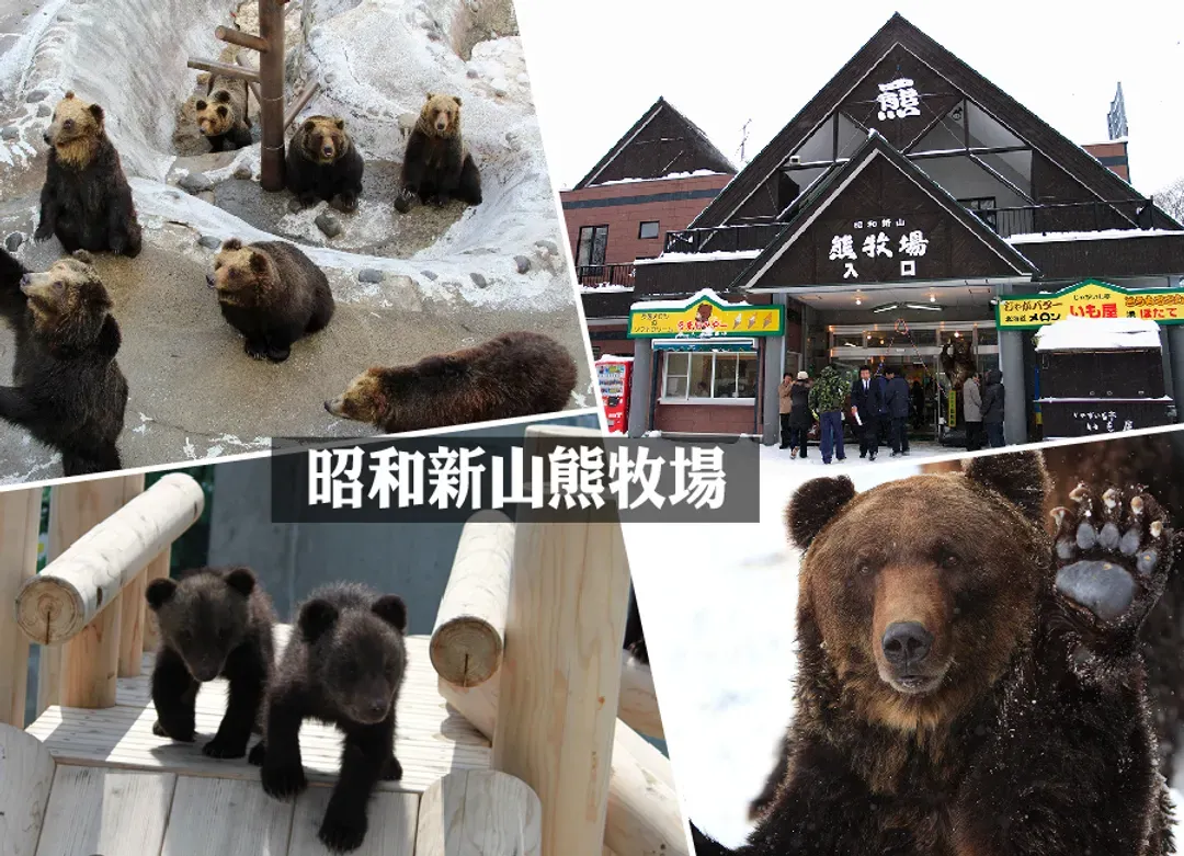 絕美星宇北海道三溫泉5日.幸福小丑漢堡.可愛企鵝遊行.函館夜景纜車.洞爺花火.浪漫小樽運河.三大蟹吃到飽(函館進出)-8