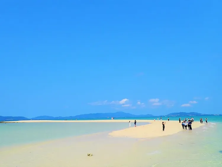 行程簡介-overview