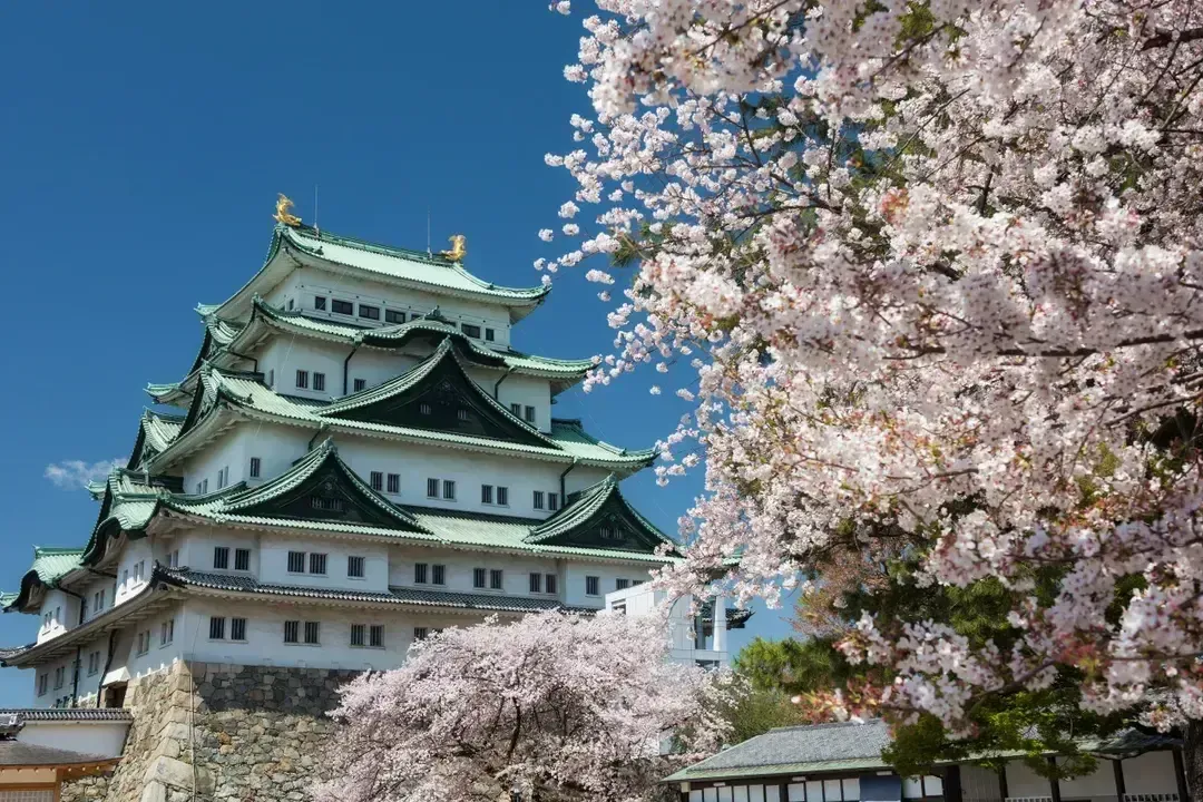 【公主遊輪】藍寶石公主號 Sapphire Princess｜日本探險家之旅櫻花 13天-1