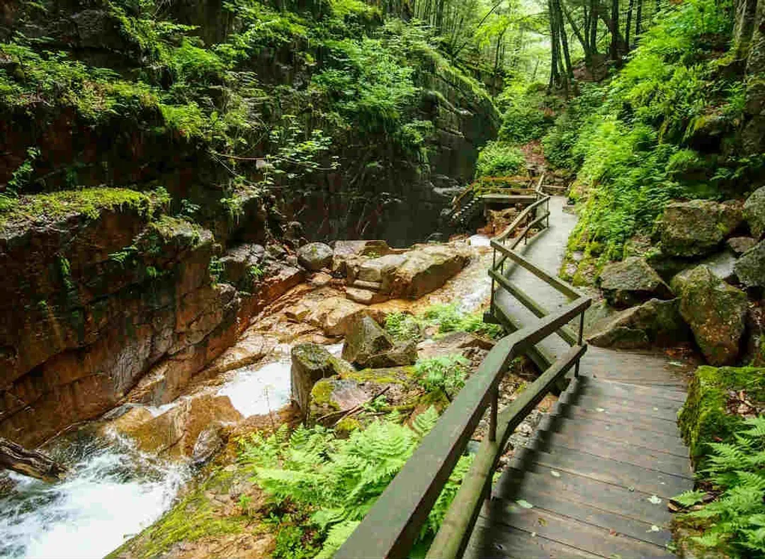 【深度美加東、早鳥享優惠】六大名城漫遊、尼加拉大瀑布、三大遊船體驗、白山森林火車12日-16