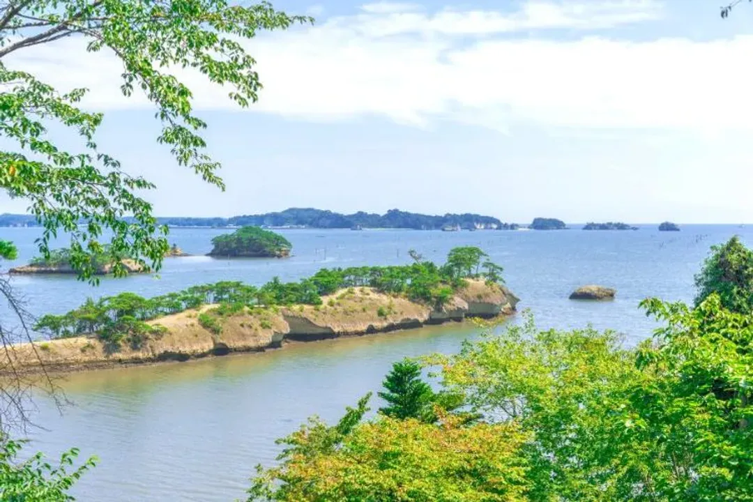 松島灣(烤魚板DIY)