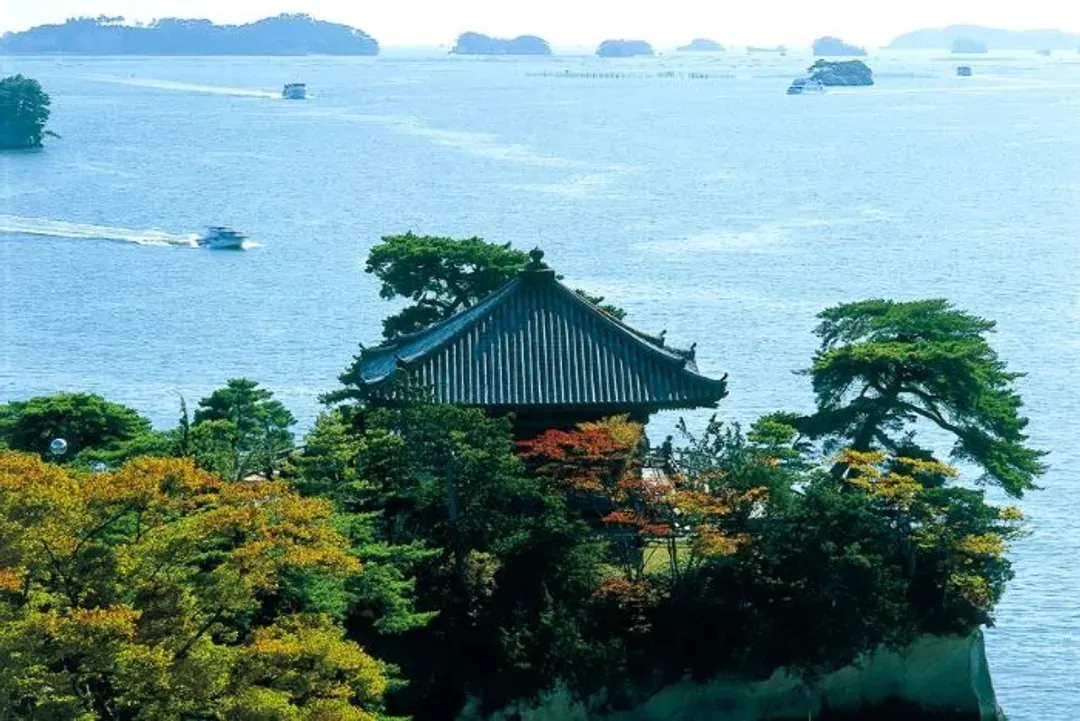 松島灣(烤魚板DIY)