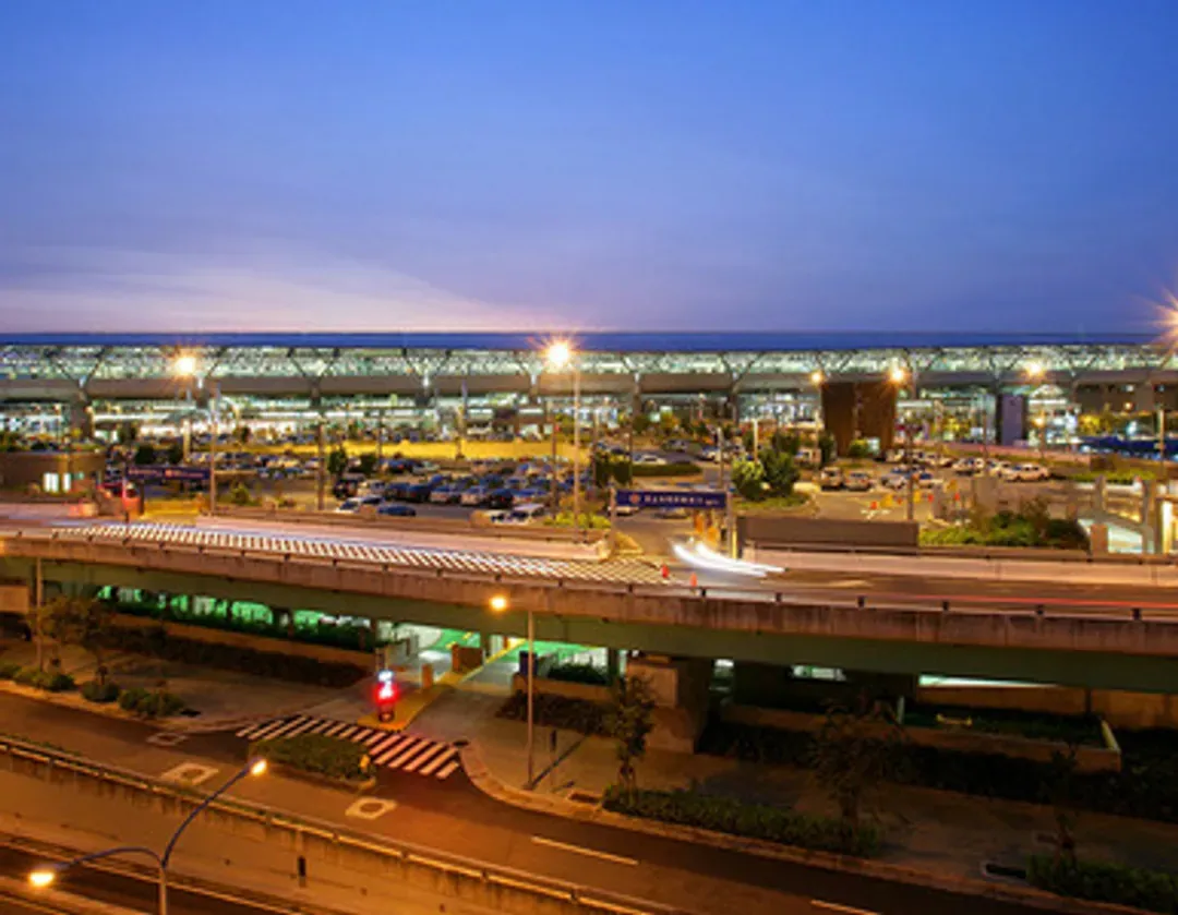 [High-Speed Rail Holiday] A one-day itinerary including Taichung Lavender Forest, Dongshi Forestry, and Fengjia Night Market.