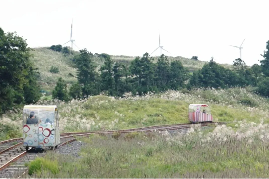 濟州舊左邑Rail Bike鐵路自行車-Rail Bike鐵路自行車
