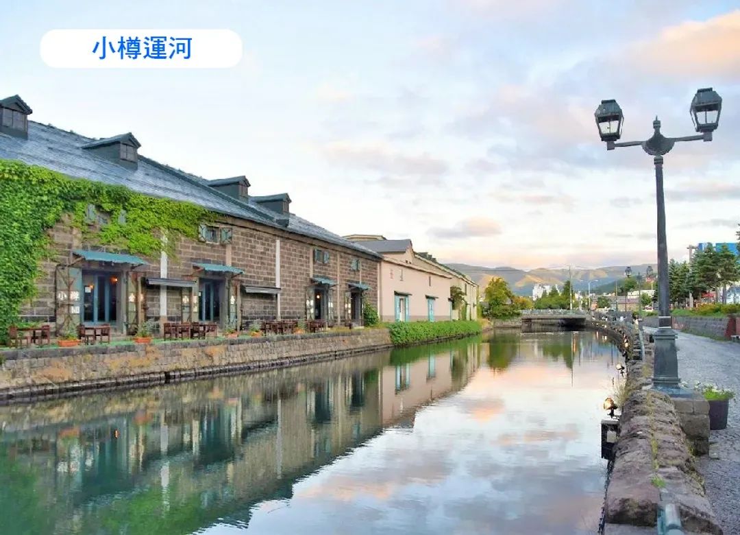 高雄出發北海道雙溫泉5日.有珠山空中纜車.洞爺湖熊牧場.美瑛仙境青池.鈴蘭花谷.螃蟹吃到飽-5