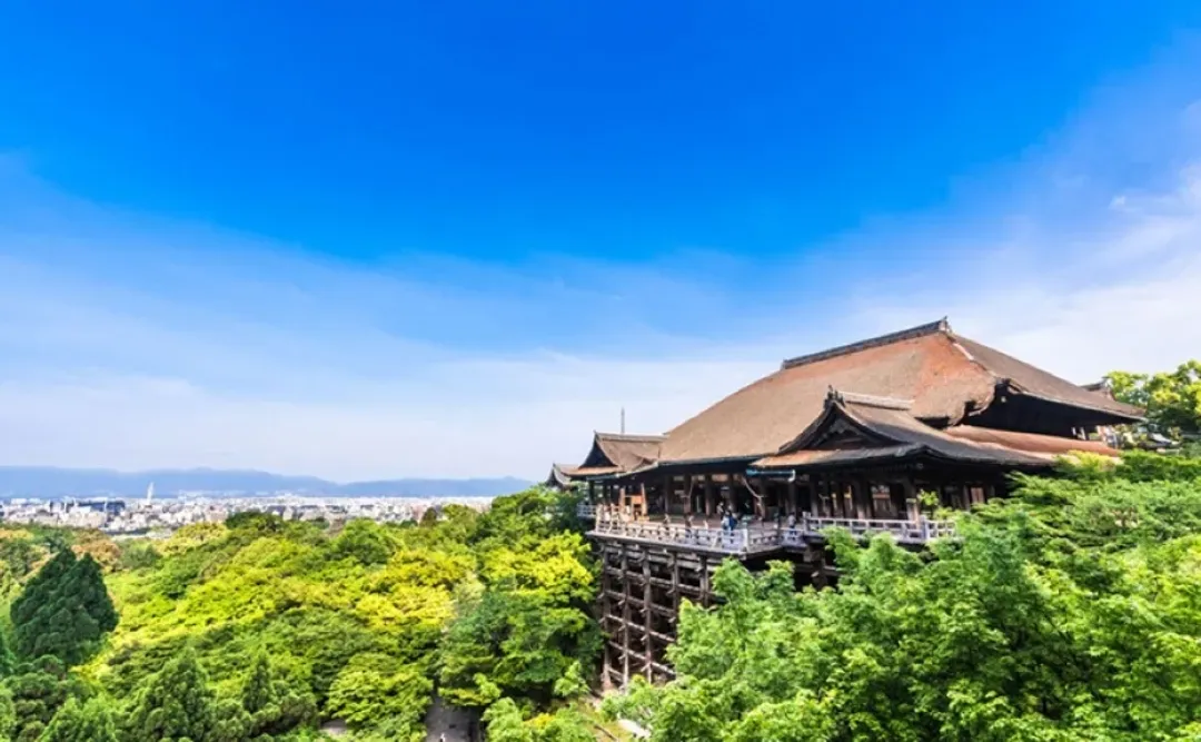 【經典漫遊關西５日】古都清水寺、嵐山渡月橋、宇治平等院、伏見稻荷、全程無自理、黑毛和牛[含稅]-5
