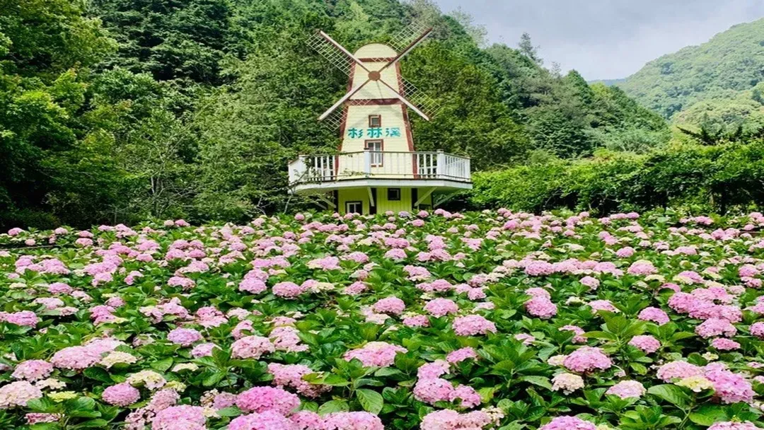 【高铁南投假期】杉林溪．忘忧森林．松泷岩瀑布1日丰富行