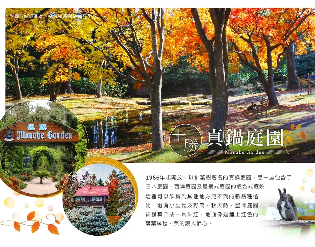 【酷航楓彩北海道６日】黑岳觀楓纜車、光影紅葉谷、旭山動物園、珊瑚草能取湖、豐平峽紅葉水壩、歐風小樽、螃蟹溫泉[含稅簽]-5