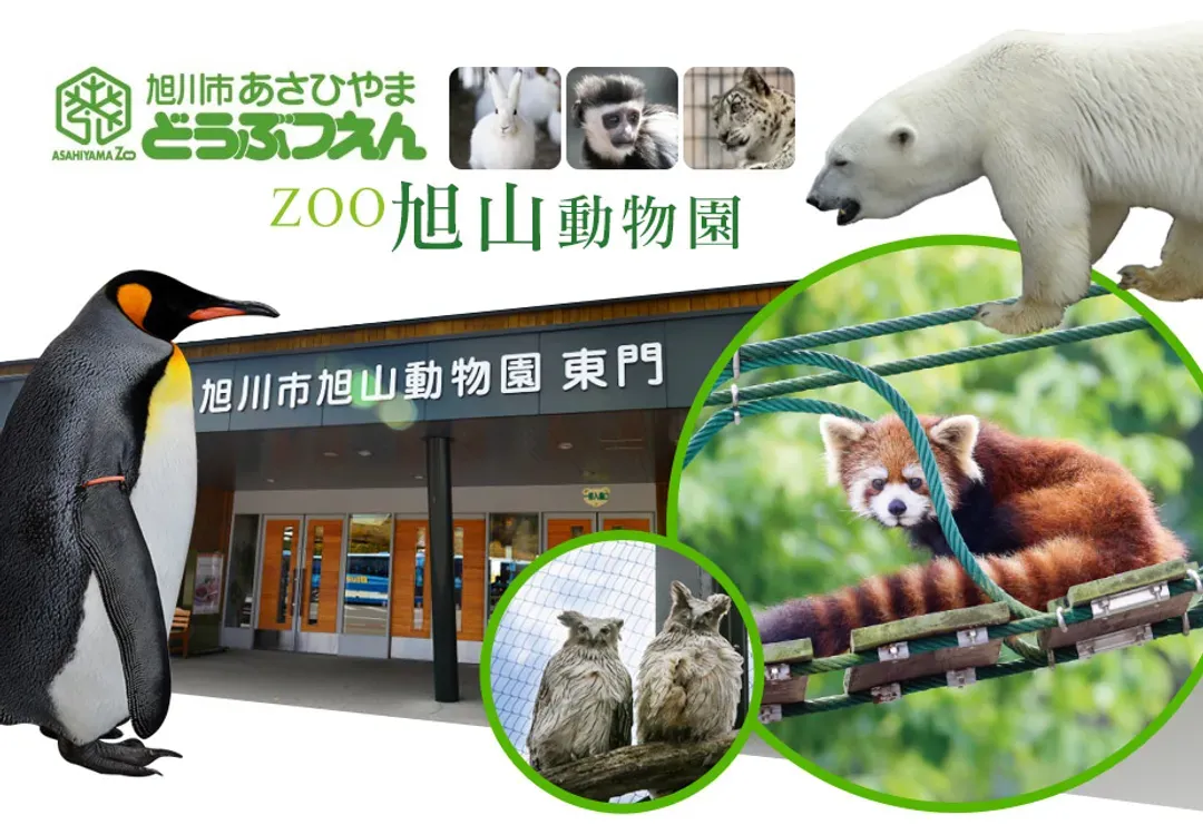 【酷航楓彩北海道６日】黑岳觀楓纜車、光影紅葉谷、旭山動物園、珊瑚草能取湖、豐平峽紅葉水壩、歐風小樽、螃蟹溫泉[含稅簽]-8