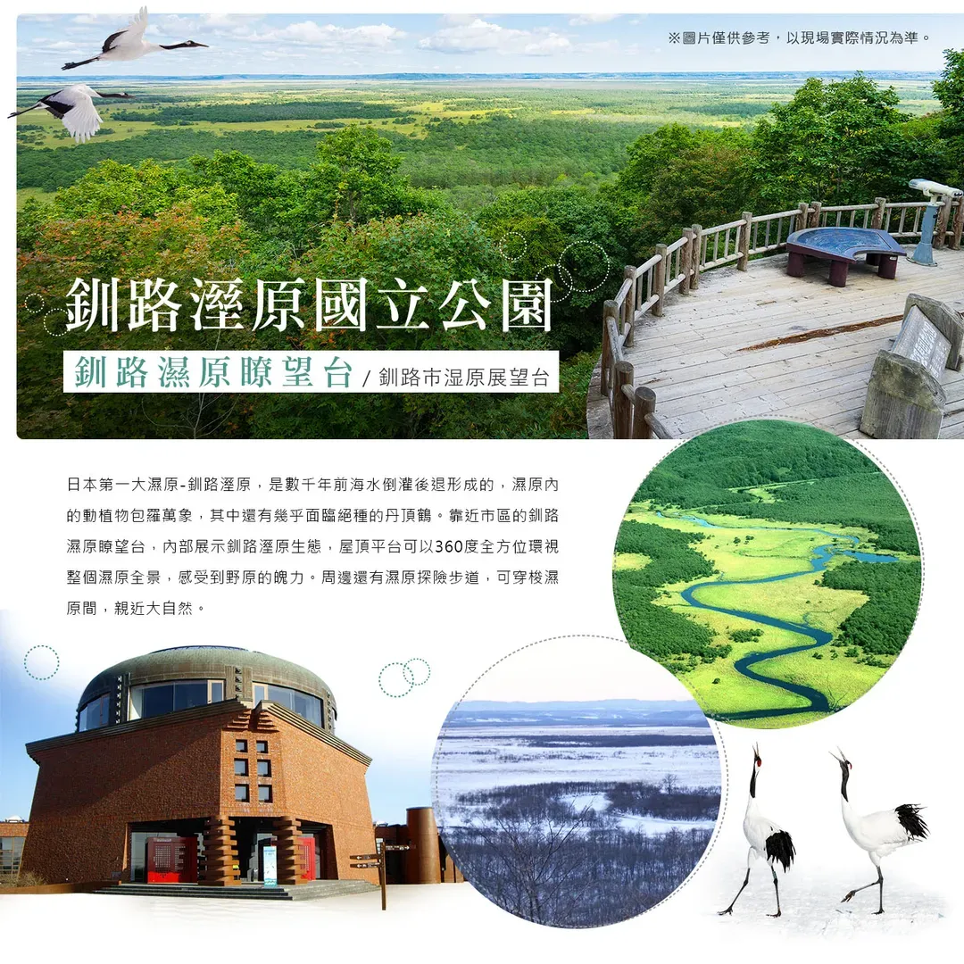 【酷航沁涼海陸空北海道７日】保住五晚溫泉、薰衣草花海、忍者魁花秀、熊山遊園車、有珠山纜車、阿寒綠藻球遊船、洞爺湖畔花火、浪漫小樽[含稅簽]-7