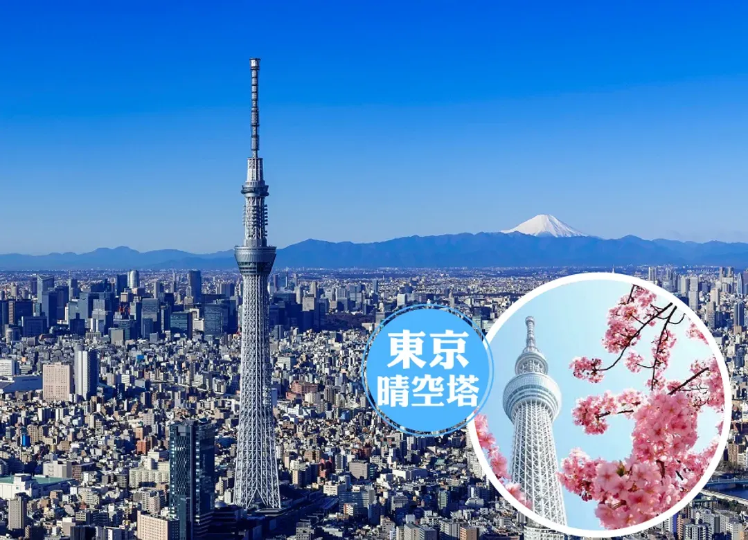 【高雄出發】絕美東京浪漫雙溫泉6日.敘敘苑燒肉.四季花卉.LAVIEW列車.輕井澤秘境.富士山纜車.晴空塔絕景.