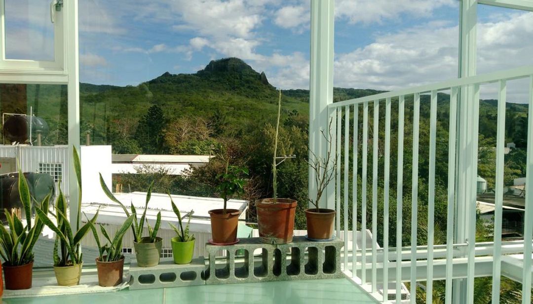 Orange moon bed and breakfast