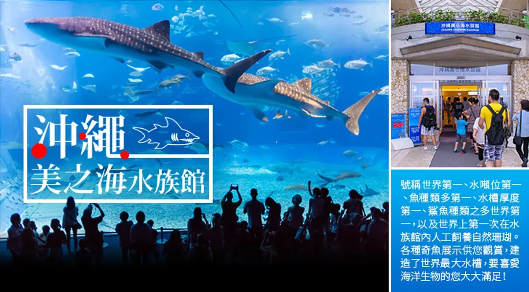 undefined-1