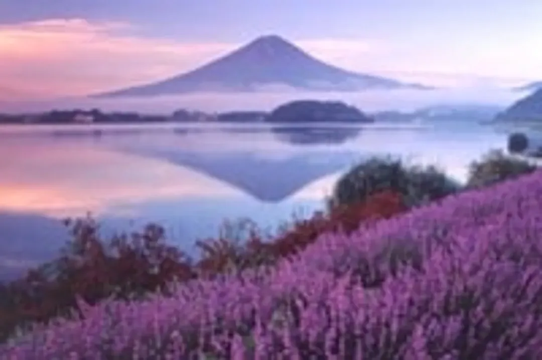 小資遊東京｜富士山美景.忍野八海.明治神宮.麻布台之丘.燒肉吃到飽五日｜回程加贈五公斤托運行李-5