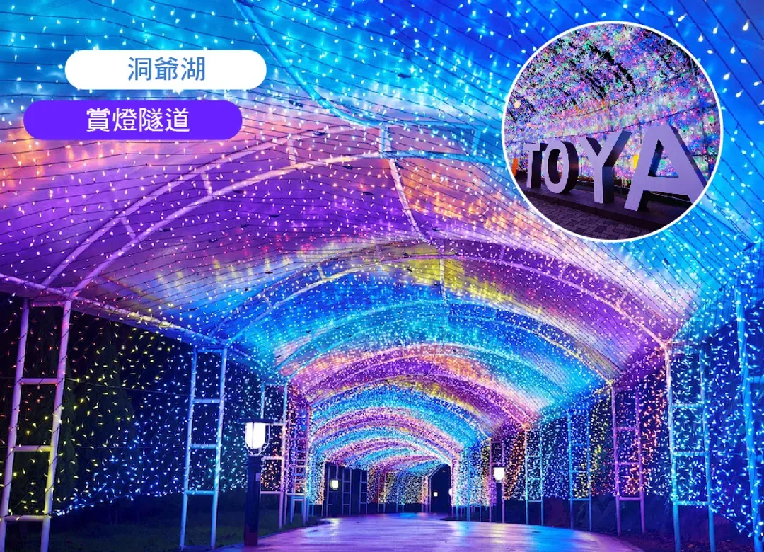 繽紛北海道三溫泉6日.洞爺湖.北國馬場.函館昭市.企鵝遊行.小樽運河.米其林函館夜景纜車.熊牧場-9