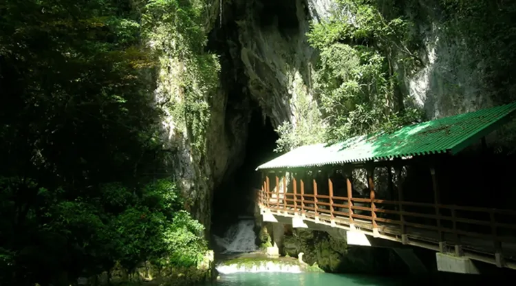 行程簡介-overview