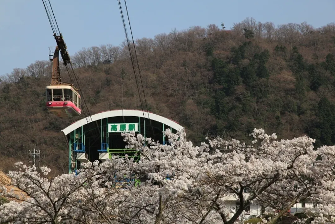 九州旅遊|人氣由布院之森.海之中道水族館.鶴見岳空中纜車.和牛長腳蟹吃到飽.保住雙溫泉五日