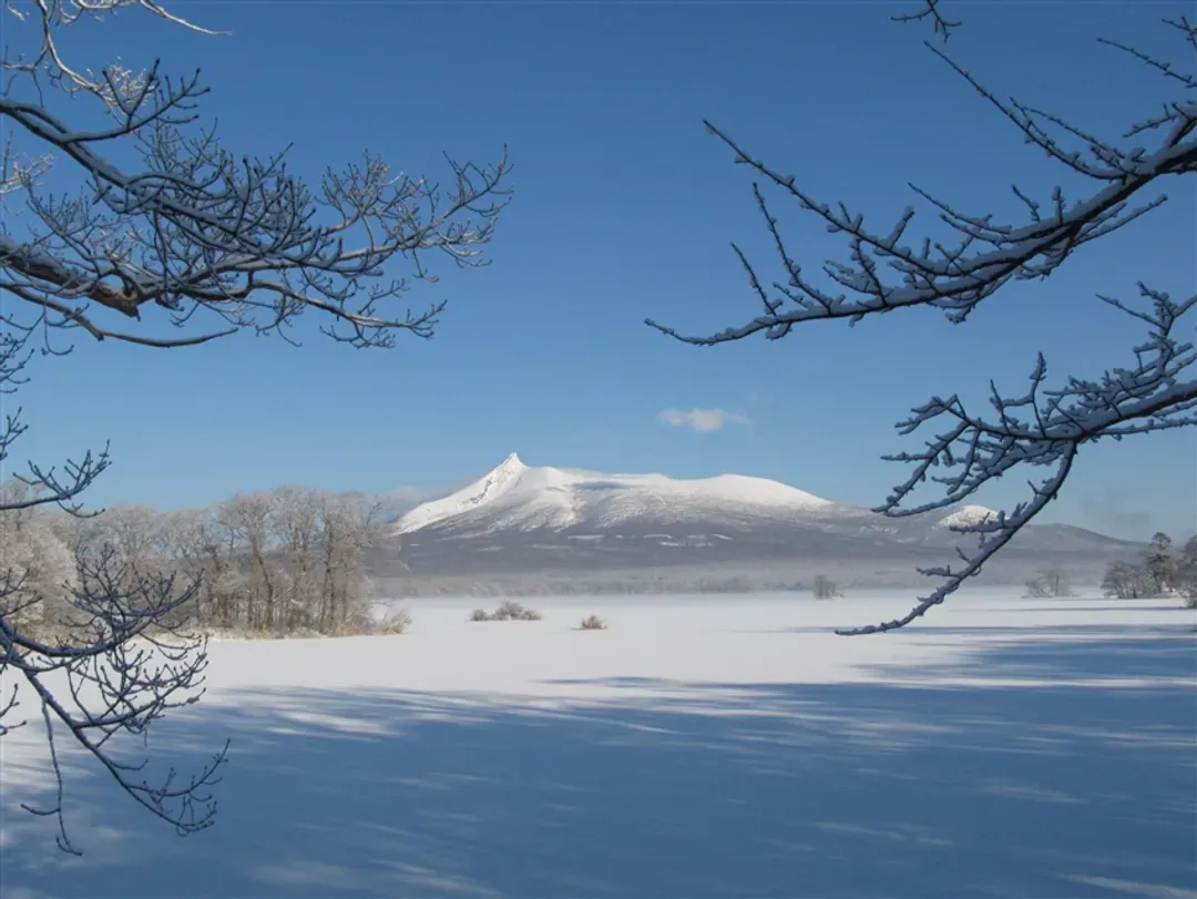 深度北海道旅遊｜全程無自理餐.函館纜車.北極星列車.阿寒湖愛努.狐狸村.旭山動物園.三大蟹美人湯七日-6