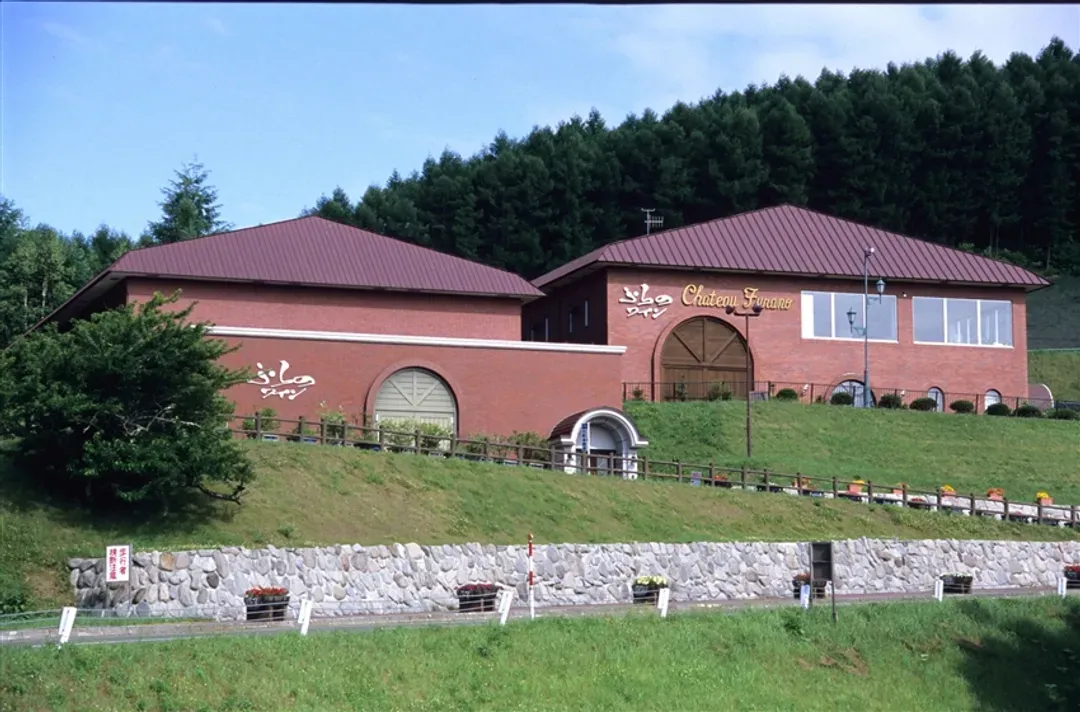 北海道旅遊│夢幻熱氣球、森林精靈露台、青池、旭山動物園、小樽、溫泉美食六日│三晚溫泉-7
