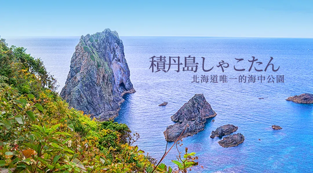 undefined-1