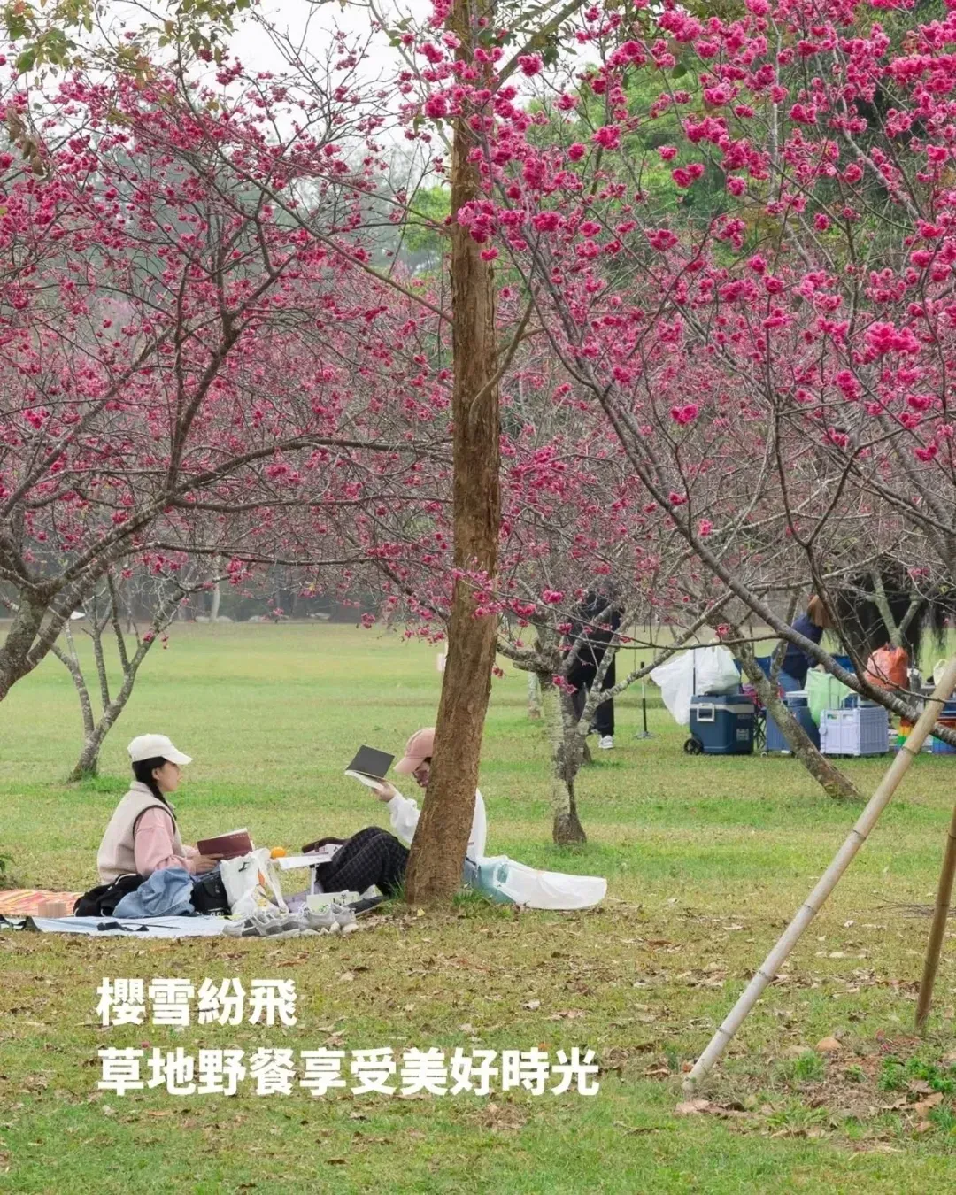 享聚山境露營區|獨家85折起!一泊三食、獨立衛浴、手作擴香石體驗-12