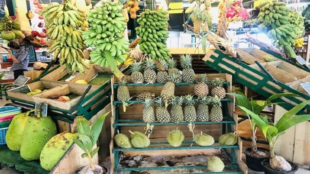 馬來西亞｜檳城｜太平｜全程五星飯店.綠灣生態探索.升旗山纜車.熱帶水果園五日-15