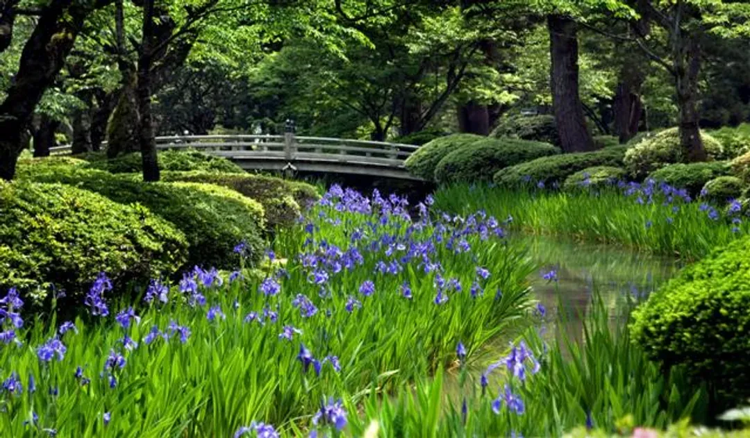 金澤兼六園(贈金箔冰淇淋)