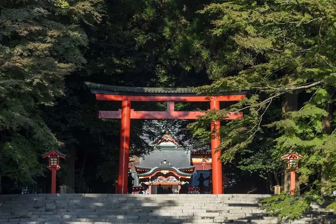 霧島神宮(公益社團法人鹿兒島縣觀光聯盟提供)-霧島神宮