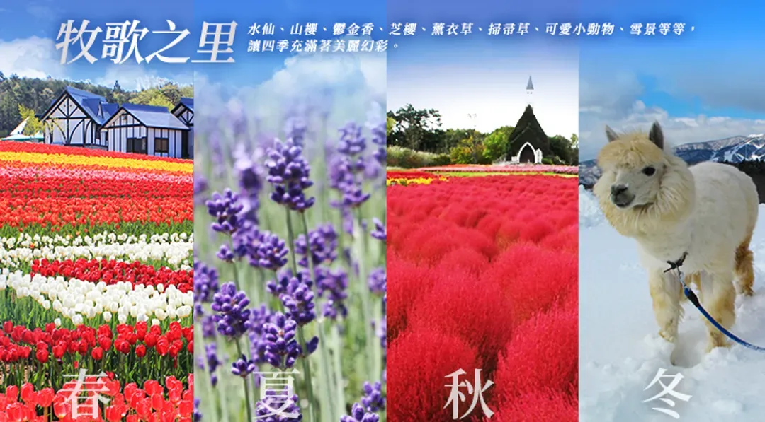 暑假預購折2千～親子旅遊｜名古屋樂高樂園.高原牧場.海豚秀.磁浮鐵道館.模型DIY.合掌村.4晚萬豪系列飯店.溫泉六日-12