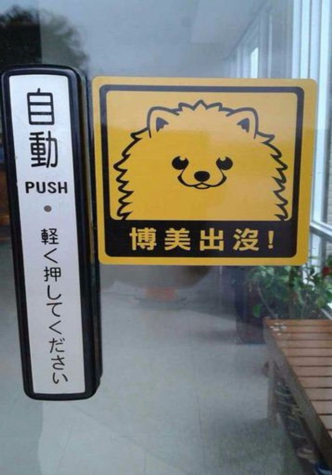 墾丁綠院子民宿
