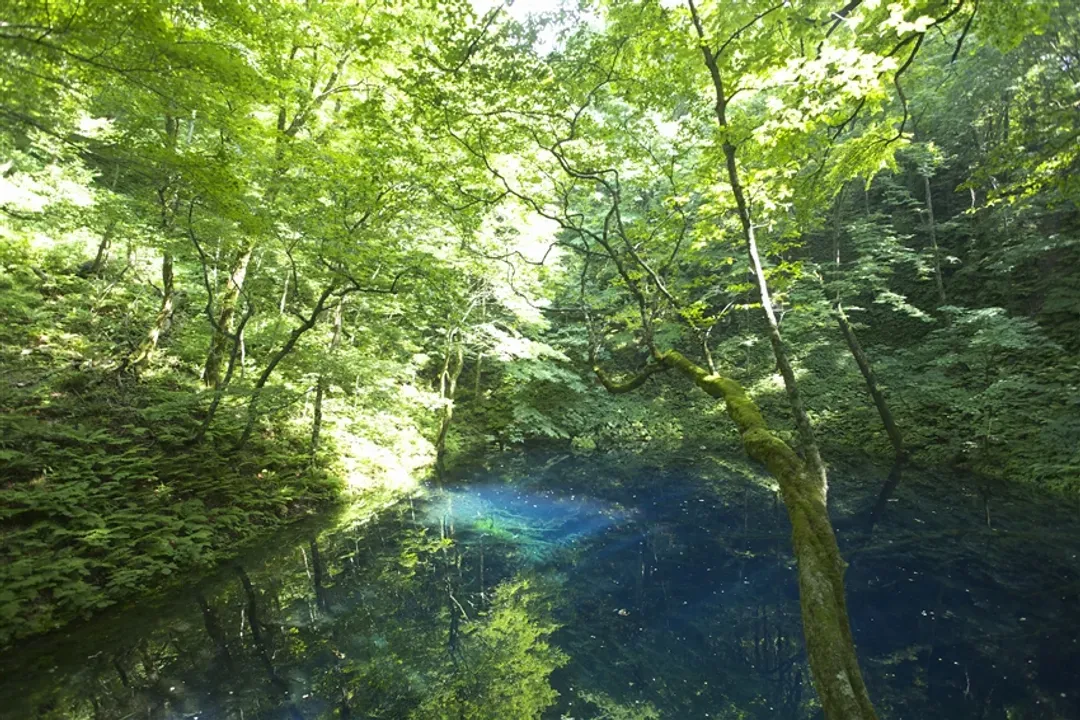 珍稀旅│東北北海道五鐵道四秘湯│藏王纜車．銀山溫泉．暖爐列車烤魷魚．JR五能線海岸列車．百萬夜景函館7日-7