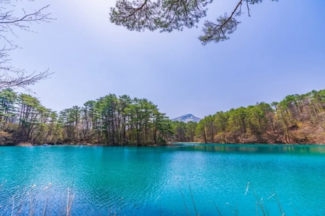 夢幻仙境～五色沼