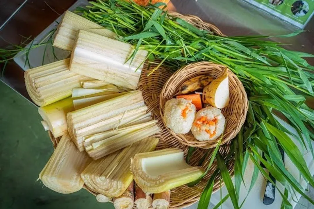 暹羅古城(小象飯糰餵食)