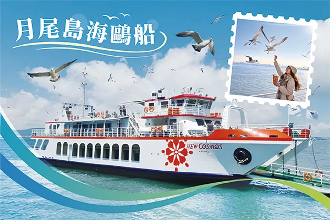 月尾島海鷗船
