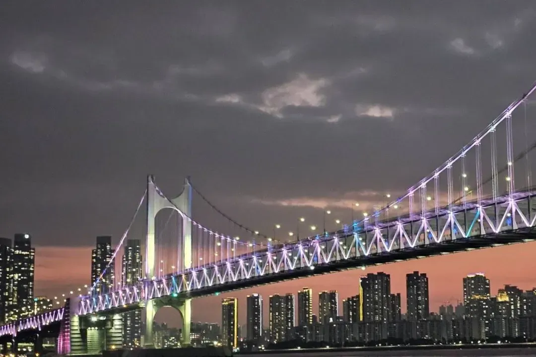 豪華遊艇浪漫夜景+煙火秀(約60分鐘,無酒精飲料+餅乾享用)